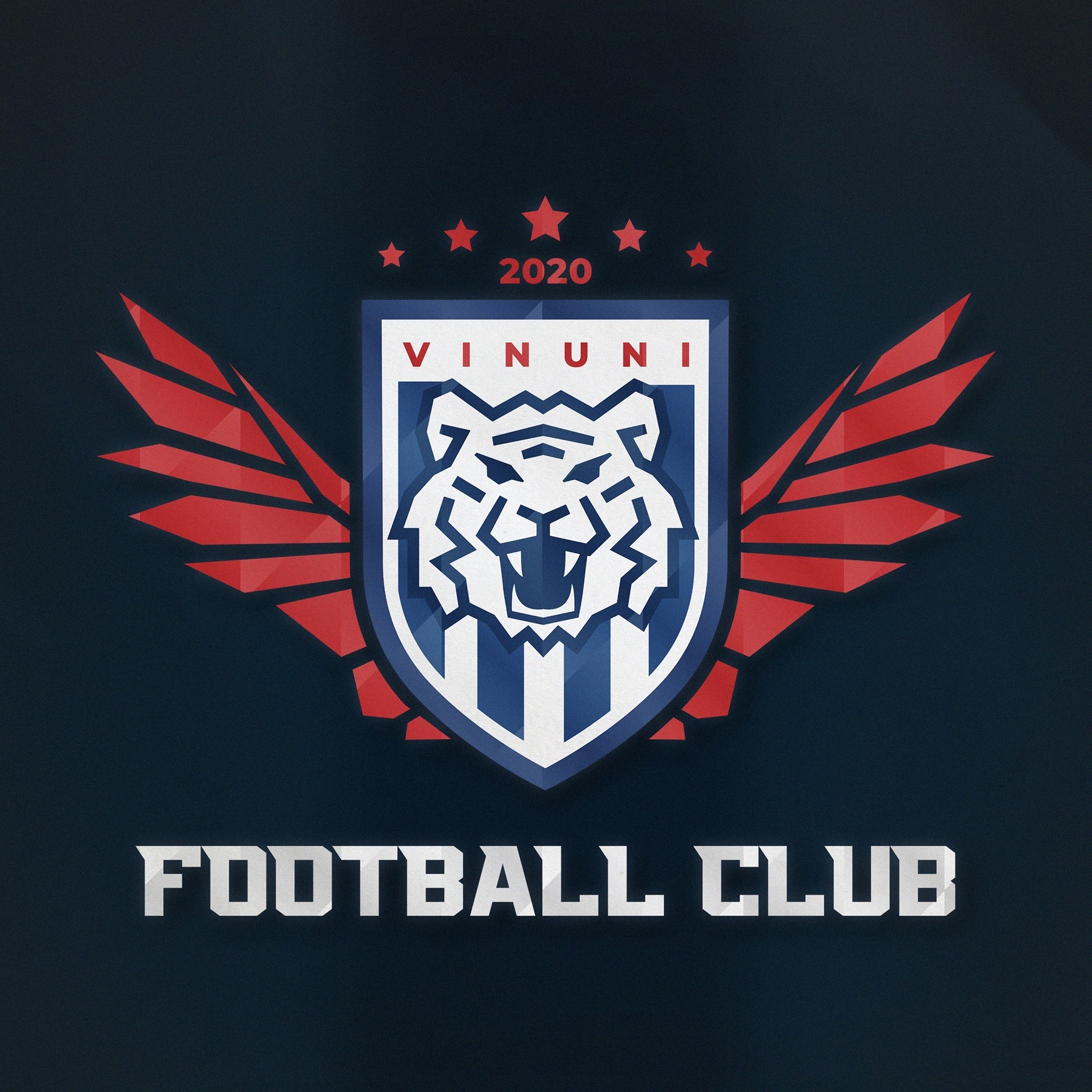VINUNI FOOTBALL TEAM