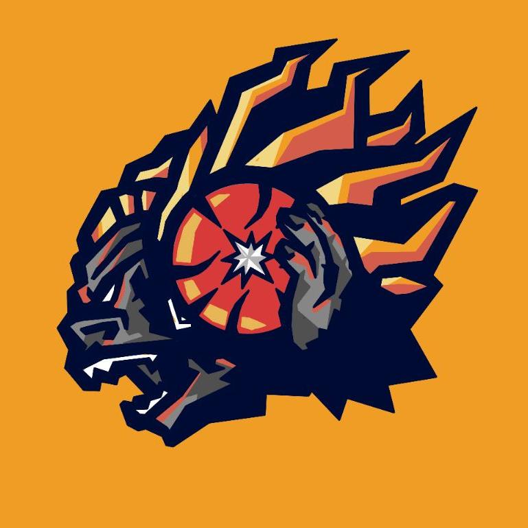 VINUNI BASKETBALL TEAM (VUBT)